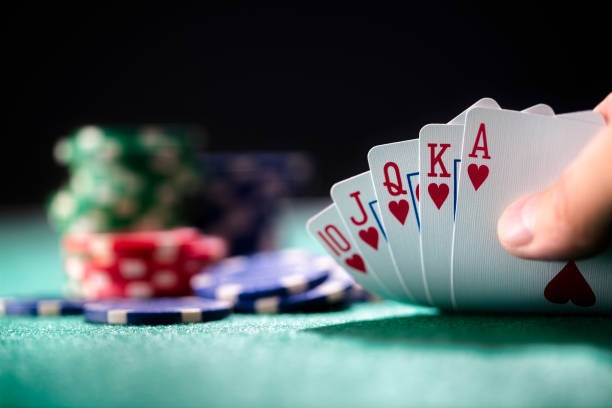 Hood vs Wolf card game interface on starling69 showing two hands and betting controls